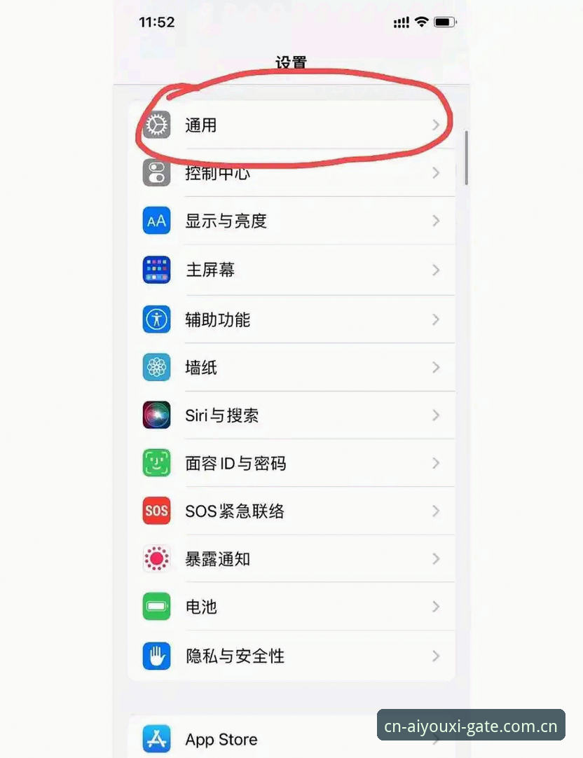 官方主站app更新闪退修复攻略完整指南：从崩溃日志到流畅体验的实操心得